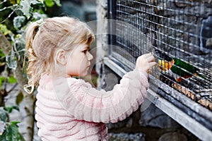 Adorable little toddler girl feeding parrots in zoological garden. Happy child playing and feed trusting friendly birds