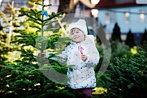 Adorable little toddler girl holding Christmas tree and sweet candy cane on market. Happy kid child in winter clothes choosing and