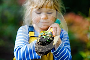 Adorable little toddler girl holding garden shovel with green plants seedling in hands. Cute child learn gardening