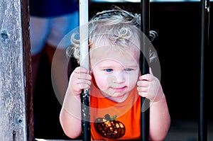 Adorable little toddler girl in pumpkin shirt behind bars.