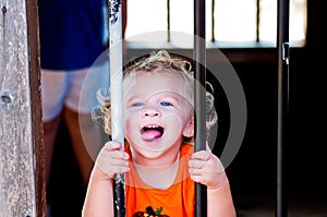 Adorable little toddler girl in pumpkin shirt behind bars.