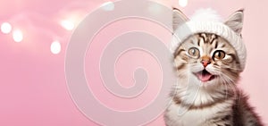 Adorable little white fluffy pussy cat in a winter ski hat, cute Christmas background, banner with copy text