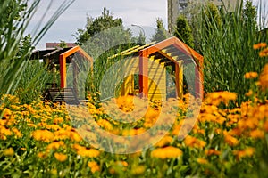 Adorable modern wooden playground in Cracow, Poland