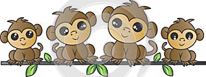 Adorable monkey family
