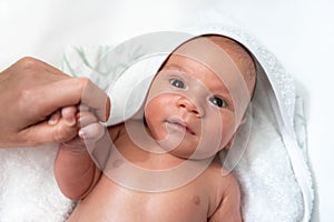 Adorable 2 months old little baby boy on towel after bath holding his mother`s hand