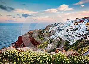 Adorable morning view of Santorini island. Splendid summer scene of famous Greek resort Oia with old windmills on background, Gree