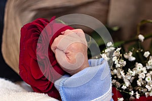 Adorable mother and baby hands in bed of red roses. Red rose in the hands of a newborn. Red rose in the hands of a newborn baby.