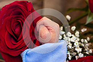 Adorable mother and baby hands in bed of red roses. Red rose in the hands of a newborn. Red rose in the hands of a newborn baby.