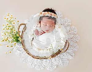 Adorable newborn sleeping in basket