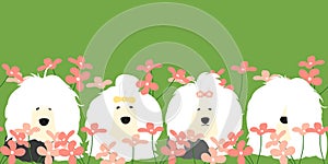 Adorable Old English Sheepdog seamless pattern background and borders with pink flowers in springtime.Cute cartoon long haired dog