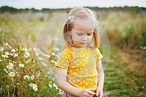 Adorable preschooler girl amidst green grass and beauitiful daisies on a summer day