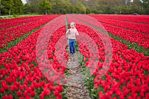 Adorable preschooler girl in beautiful blossoming tulip field