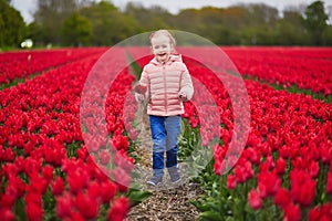 Adorable preschooler girl in beautiful blossoming tulip field