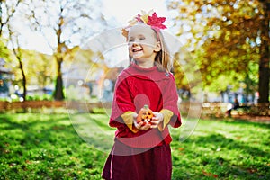 Adorable preschooler girl enjoying nice and sunny autumn day outdoors