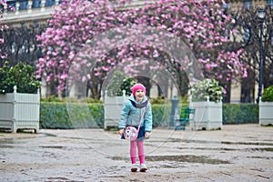 Adorable preschooler girl enjoying pink magnolias in full bloom on a rainy day in a park of Paris, France