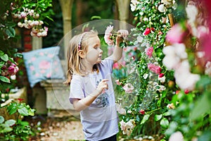 Adorable preschooler girl enjoying rose flowers in summer park