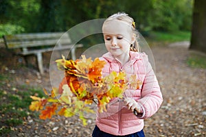 Adorable preschooler girl enjoying sunny fall day in park or forest