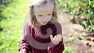 Adorable preschooler girl looking at ladybug crawling on her fingers and then waving goodbye as the insect flies away