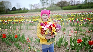 Adorable preschooler girl picking beautiful tulip flowers on farm. Outdoor summer activities for little kids.