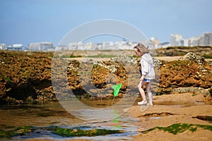 Adorable preschooler girl playing with scoop net on the beach at Atlantic coast of Brittany, France