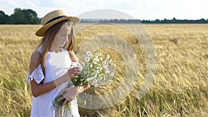 Adorable preschooler girl walking happily in wheat field on warm and sunny summer day