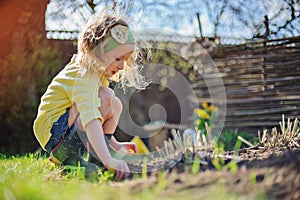 Adorable preschooler girl in yellow cardigan planting flowers in spring sunny garden