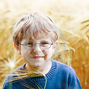 Adorable preschooler kid boy with glasses in wheat field