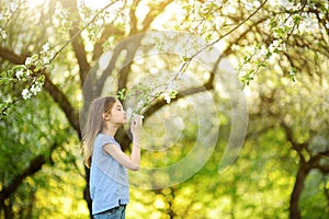 Adorable preteen girl in blooming apple tree garden on beautiful spring day.