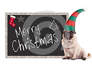 Adorable pug puppy dog wearing an elf hat, sitting next to blackboard sign with text merry christmas, on white background