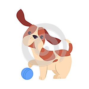 Adorable Puppy Dog Playing Ball, Happy Pet Animal with White and Brown Coat Cartoon Vector Illustration