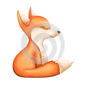 Adorable red fox isolated on white background.