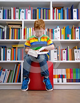 Adorable red-haired little boy, sitting in a library, reading book. Knowledge, education, getting ready for school