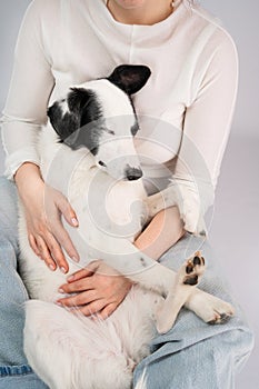 Adorable relaxed dog resting on owners laps. Cuddling with adorable black and white outbred dog photo