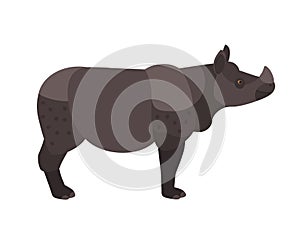 Adorable rhino or rhinoceros isolated on white background. Cute wild exotic herbivorous animal with horn. Endangered