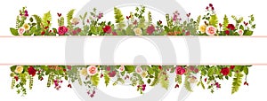 Adorable rose and fern background