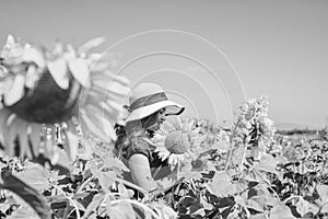 Adorable rustic child girl enjoy summer at sunflowers field, freedom concept