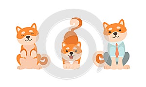 Adorable Shiba Inu Dog Activities Set, Akita Inu Dog Character Sitting and Barking Cartoon Vector Illustration