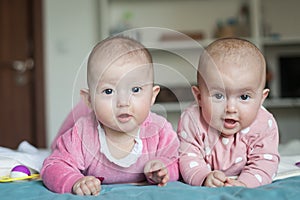 Adorable six months old baby twins in bed at home. Cute kids during tummy time. Two baby twins on bed