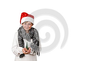 Adorable smiling boy with Christmas red hat wearing white pullover holding a little Christmas tree
