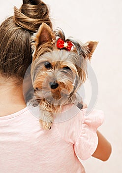 Adorable smiling happy little girl child playing with puppy yorkshire terrier