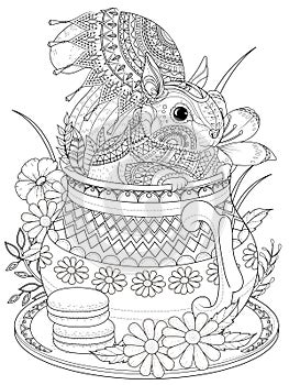 Adorable squirrel adult coloring page