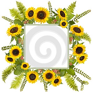 Adorable sunflower background with fern and leaves