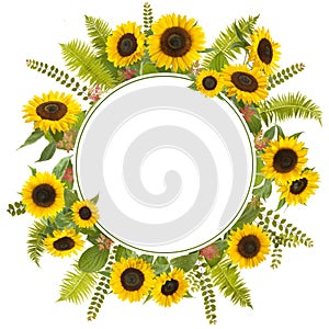 Adorable sunflower background with fern and leaves