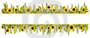 Adorable sunflower background with fern and leaves