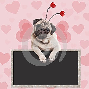Adorable sweet pug puppy dog hanging on blank blackboard sign on pink background with hearts