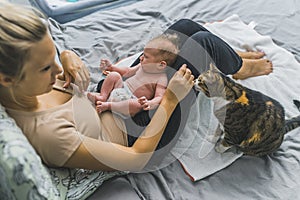Adorable tabby cat curiously sniffing new family member - small infant baby boy held on the thighs of caucasian mother