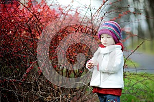 Adorable toddler in barberry bushes on autumn day
