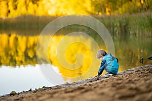 Adorable toddler boy having fun by the Gela lake on sunny fall day. Child exploring nature on autumn day in Vilnius, Lithuania