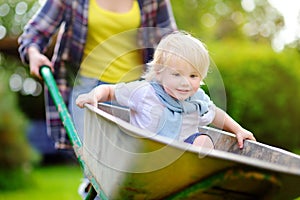 Adorable toddler boy having fun in a wheelbarrow pushing by mum in domestic garden, on warm sunny day