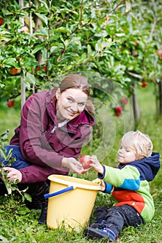 Adorable toddler boy of two years and his mother picking red app